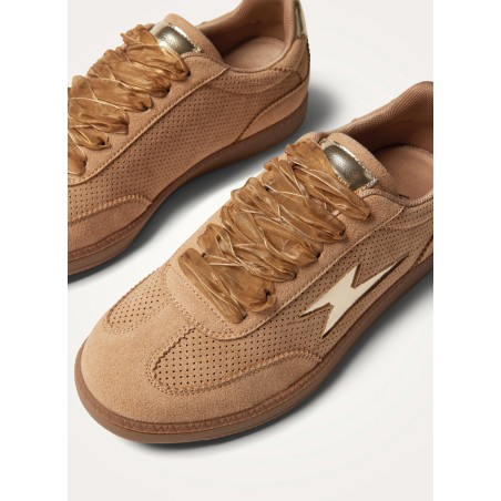 BK2948-CAMEL