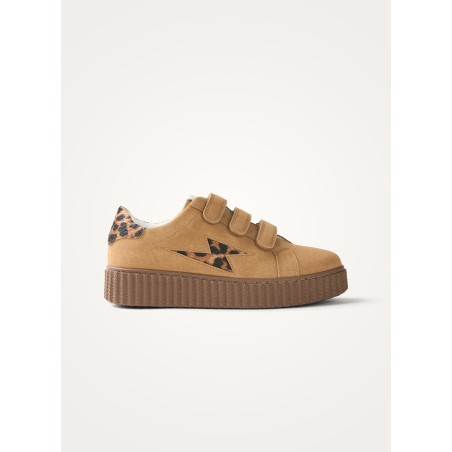 BK2954-CAMEL