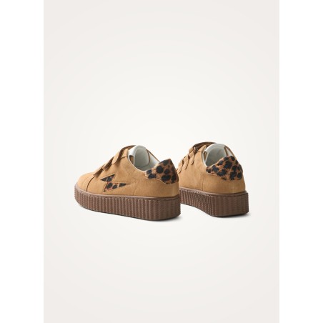 BK2954-CAMEL