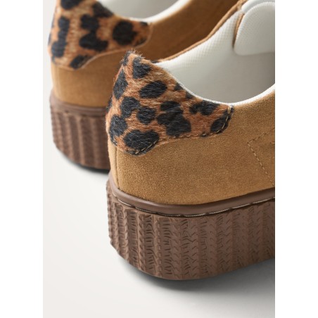 BK2954-CAMEL