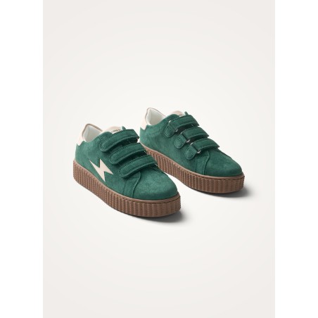 BK2954-VERT