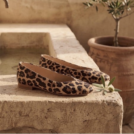 ballerine leopard findlay