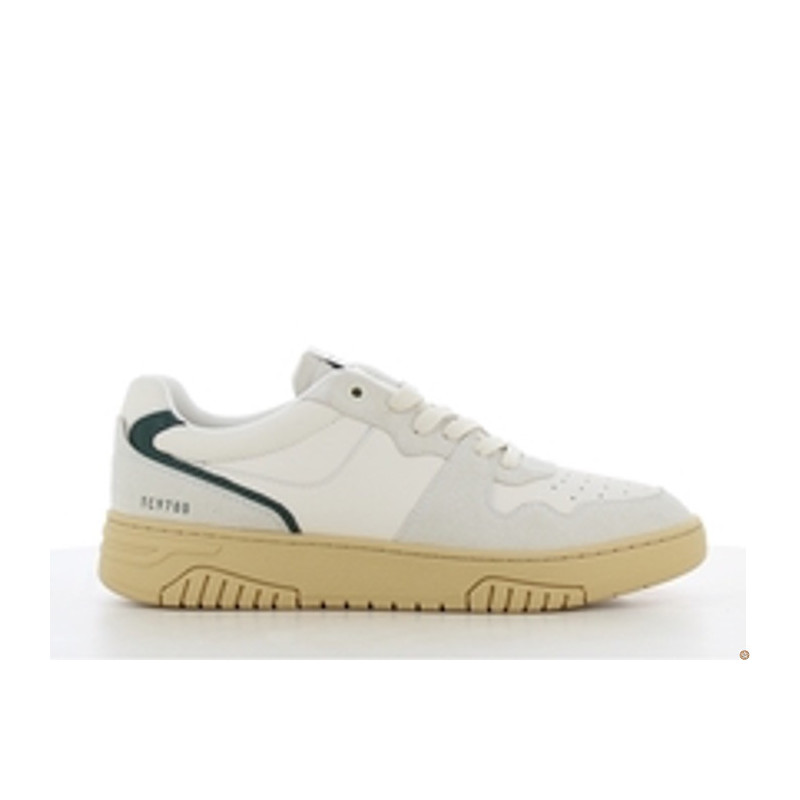 Low Sneakers - White/Green - SJ
